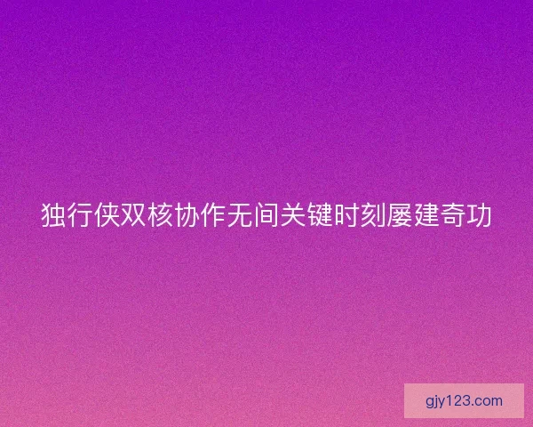 独行侠双核协作无间关键时刻屡建奇功 独行侠双核协作无间关键时刻屡建奇功